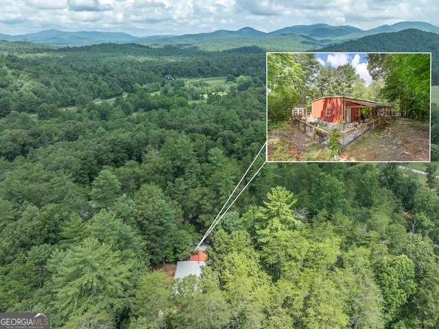 19 Ladybug Lane Blue Ridge - Photo 11