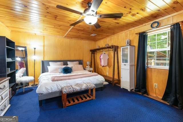 19 Ladybug Lane Blue Ridge - Photo 15