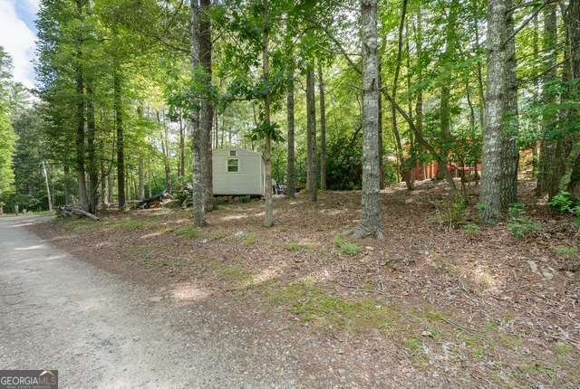19 Ladybug Lane Blue Ridge - Photo 21