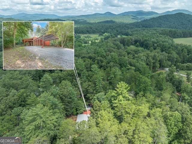 19 Ladybug Lane Blue Ridge - Photo 33