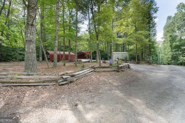 19 Ladybug Lane Blue Ridge - Photo 39