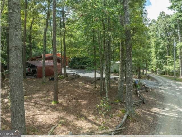 19 Ladybug Lane Blue Ridge - Photo 40