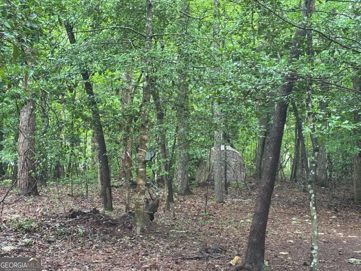 19 Ladybug Lane Blue Ridge - Photo 41