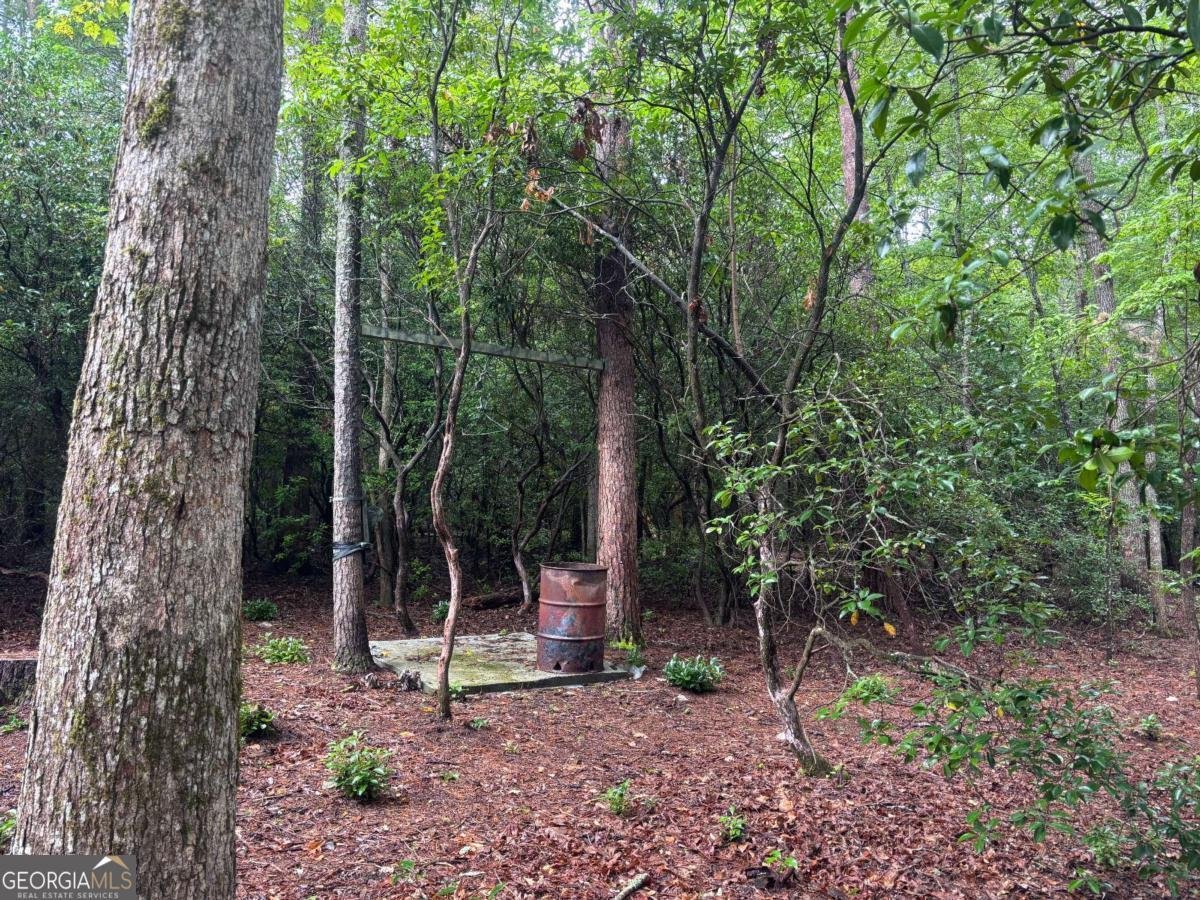 19 Ladybug Lane Blue Ridge - Photo 43