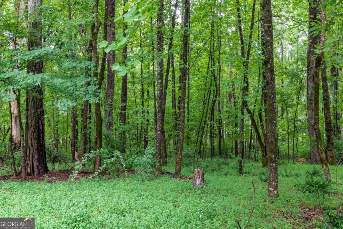 152 Thornhill Drive Athens - Photo 54