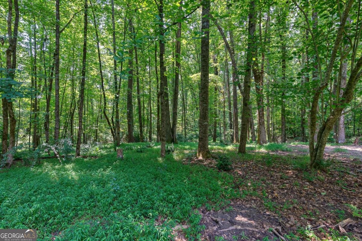 152 Thornhill Drive Athens - Photo 55