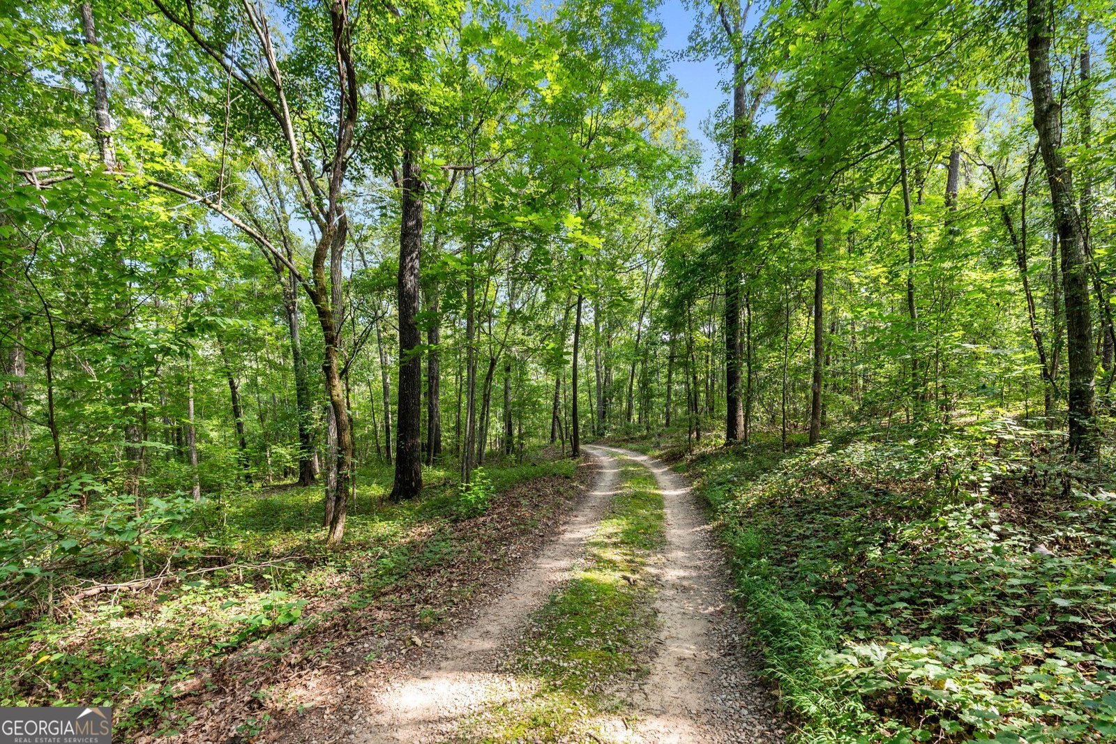 4165 Glenn Road Franklin - Photo 39