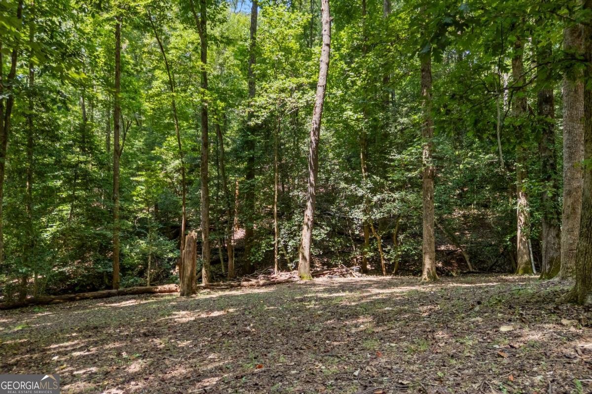 439 Nighthawk View Demorest - Photo 28
