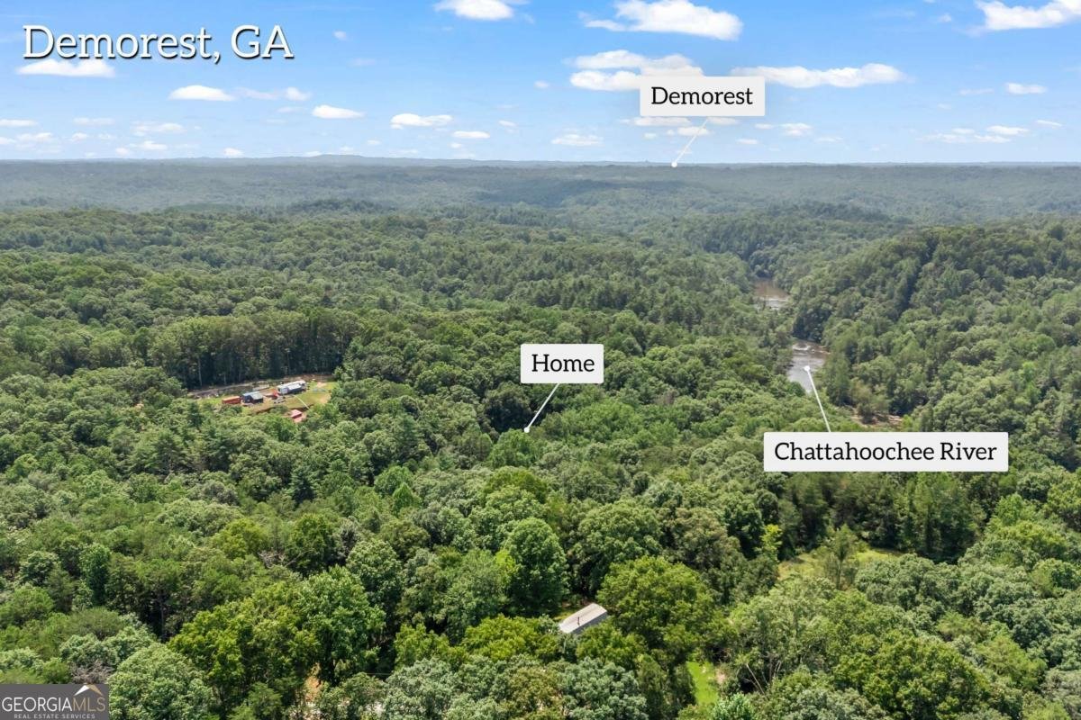 439 Nighthawk View Demorest - Photo 34