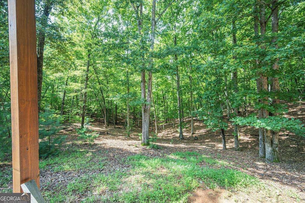 72 Gibbs Trail Mineral Bluff - Photo 17