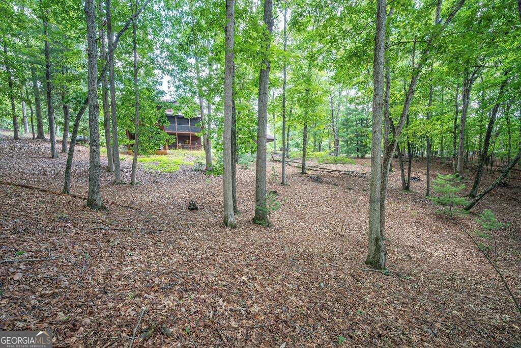 72 Gibbs Trail Mineral Bluff - Photo 18