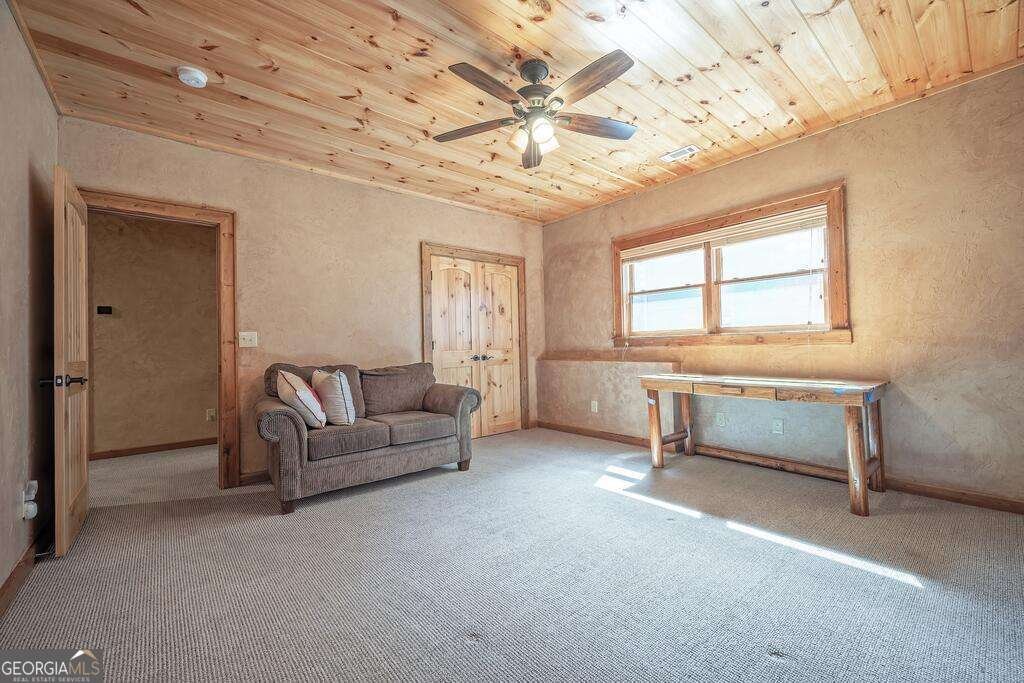72 Gibbs Trail Mineral Bluff - Photo 69