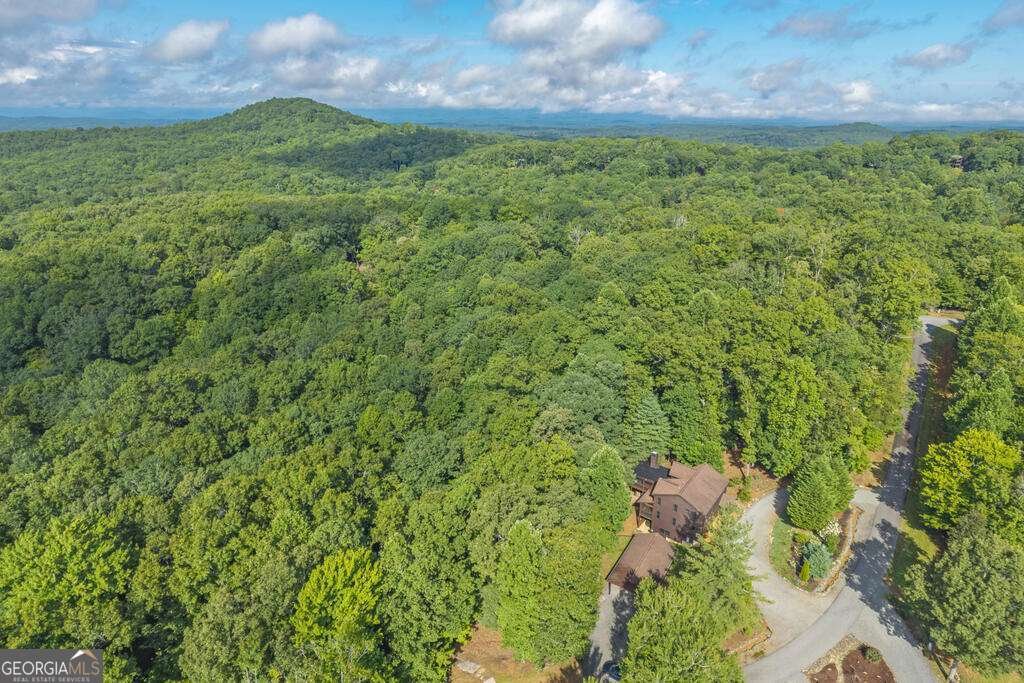 72 Gibbs Trail Mineral Bluff - Photo 7
