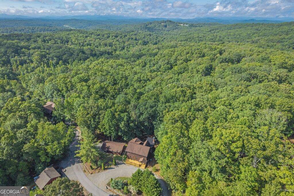 72 Gibbs Trail Mineral Bluff - Photo 8