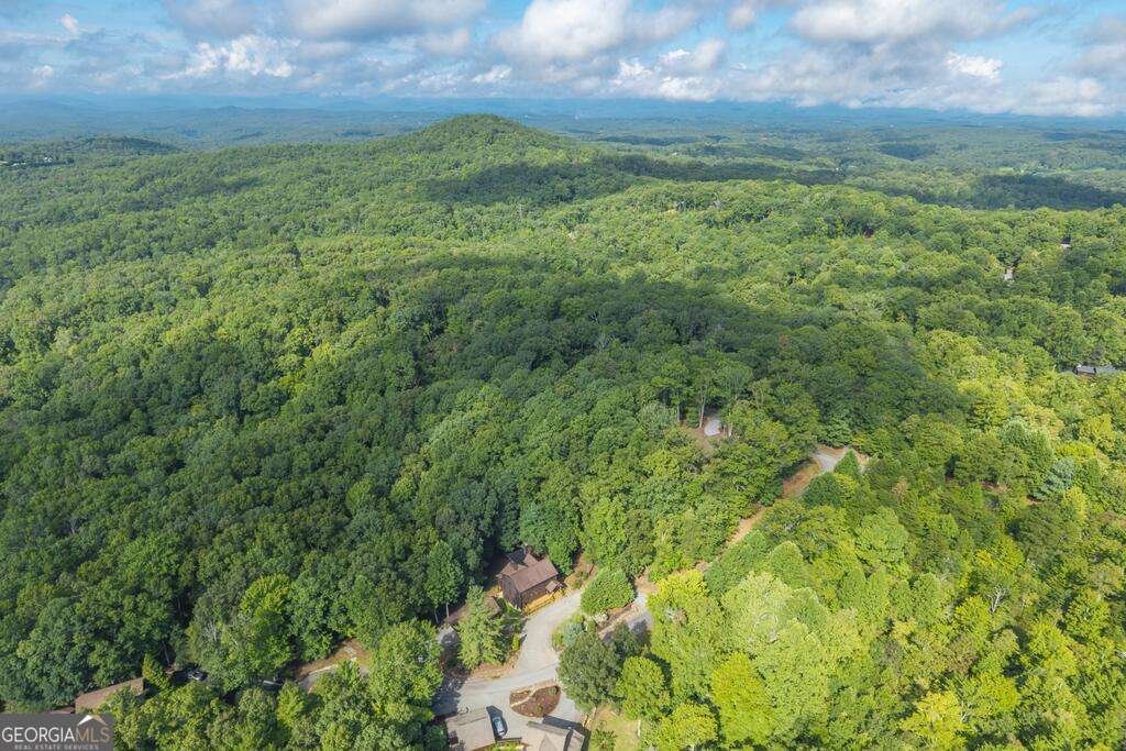 72 Gibbs Trail Mineral Bluff - Photo 9