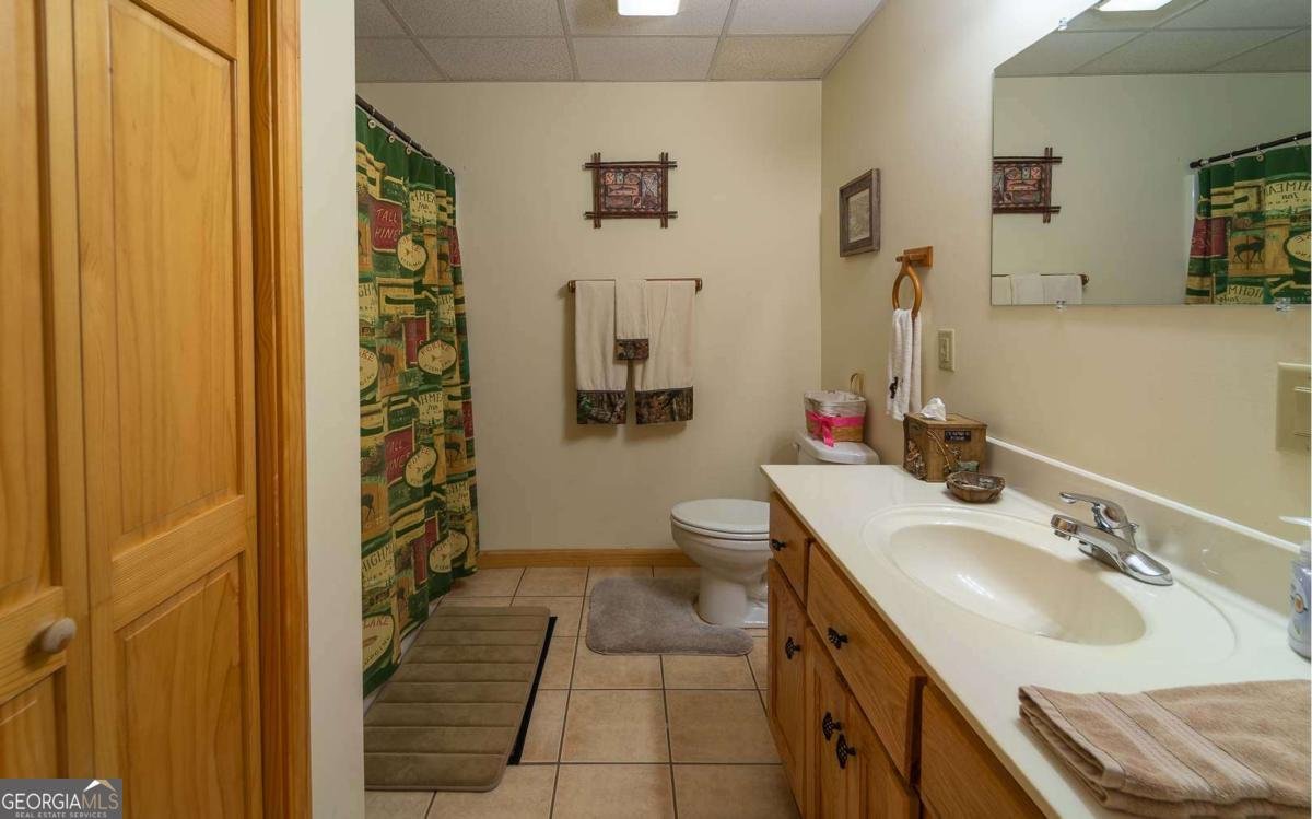 139 Gladys Lane Young Harris - Photo 21