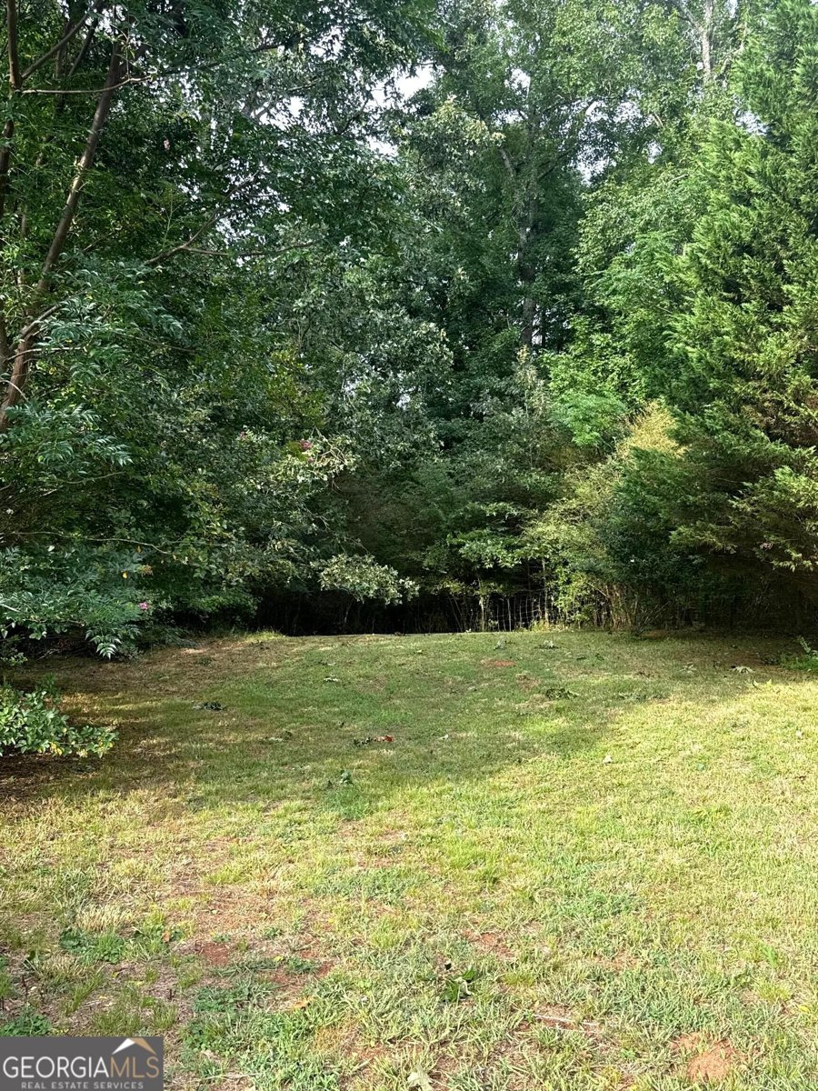 259 Lovers Lane Union point - Photo 18