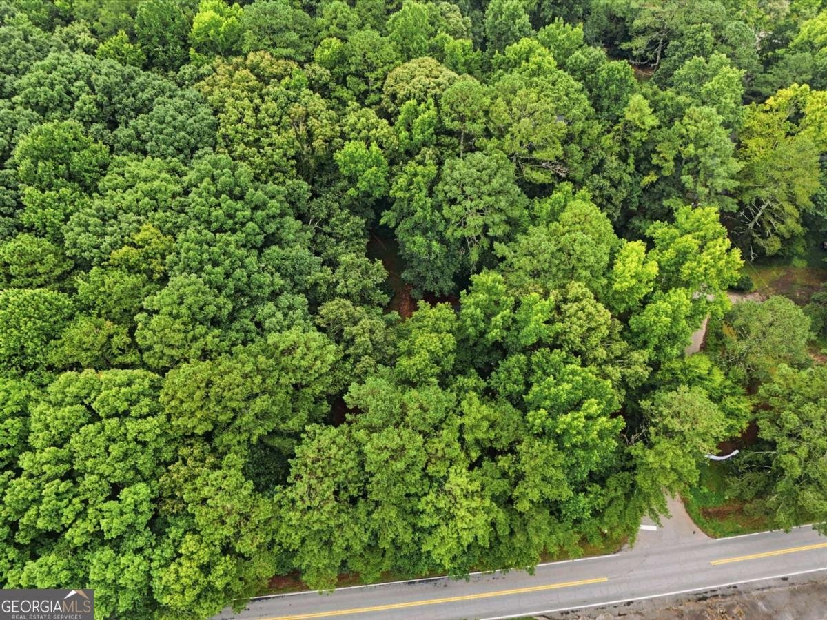 720 Twin Pines Road Covington - Photo 43