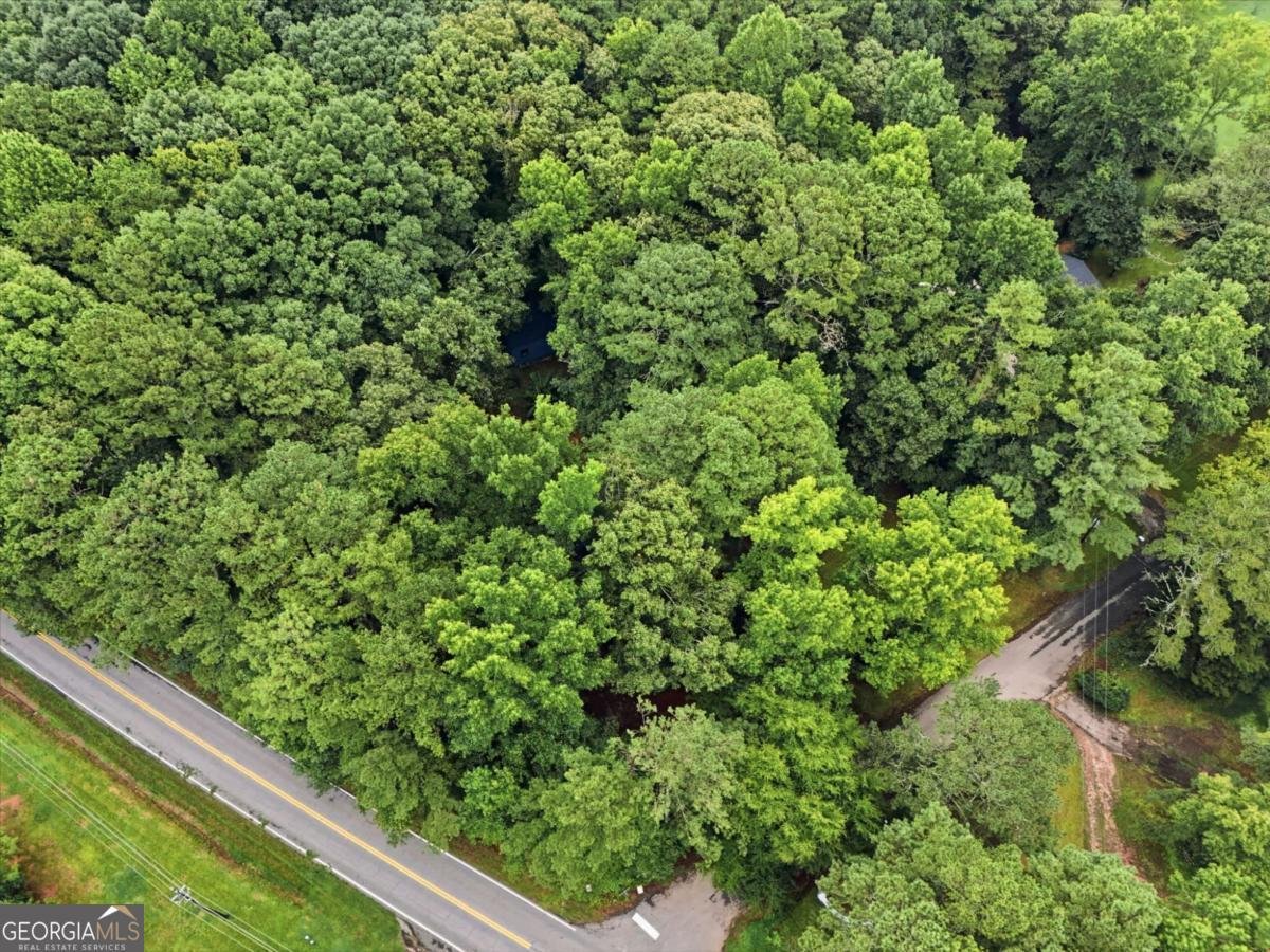 720 Twin Pines Road Covington - Photo 44