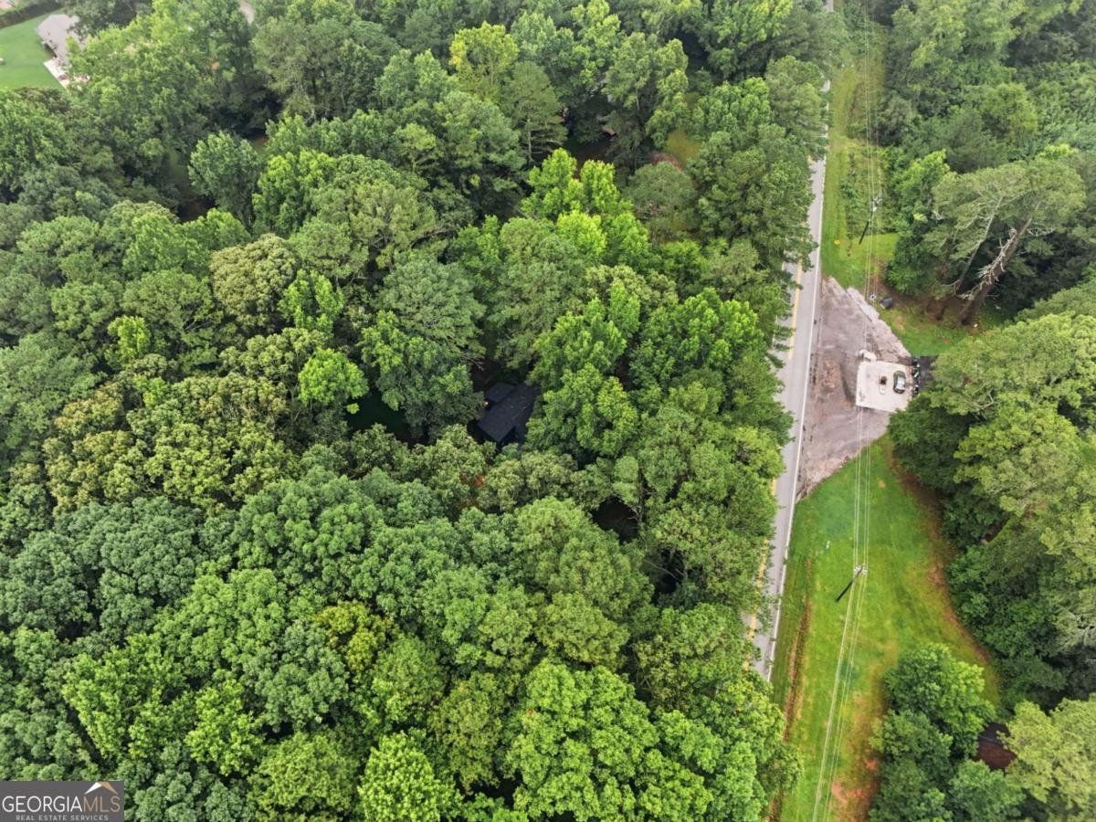 720 Twin Pines Road Covington - Photo 46