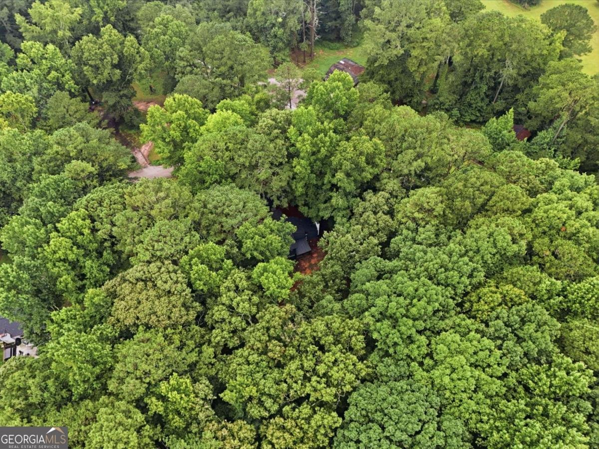 720 Twin Pines Road Covington - Photo 47