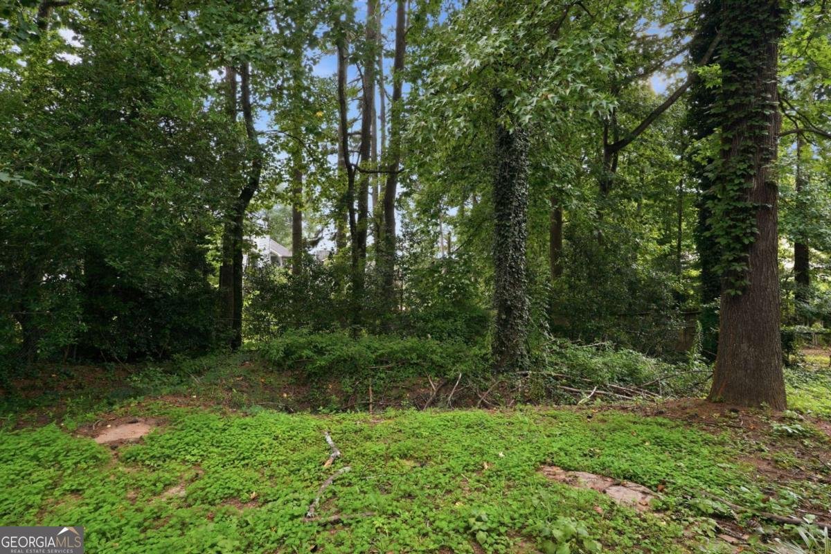 1424 Brookcrest Street Lawrenceville - Photo 31