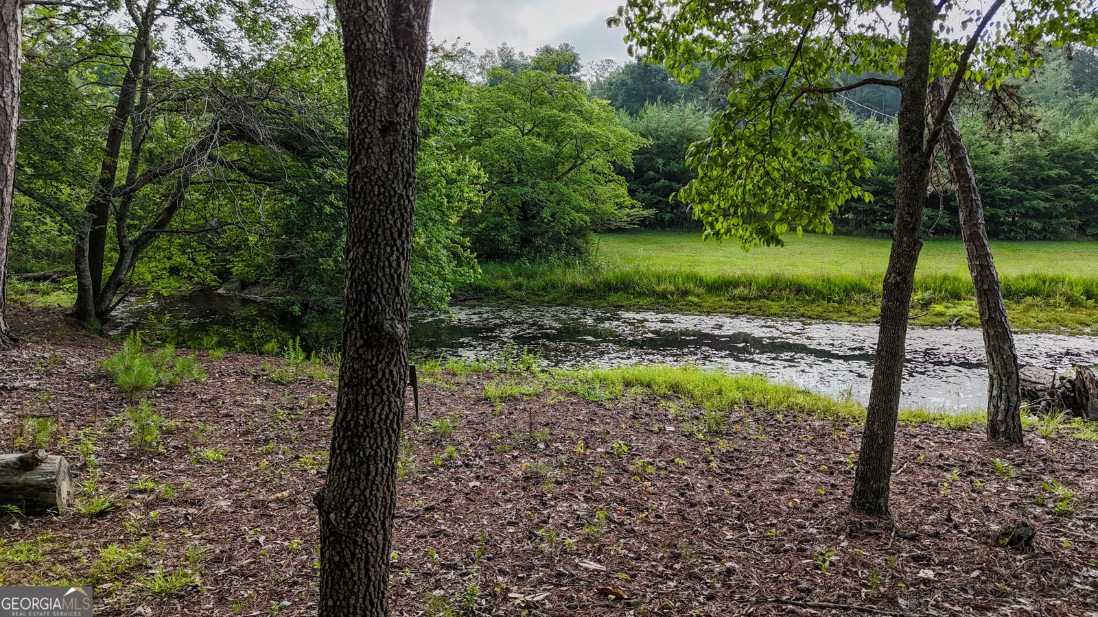 110 Handy Road Newnan - Photo 67
