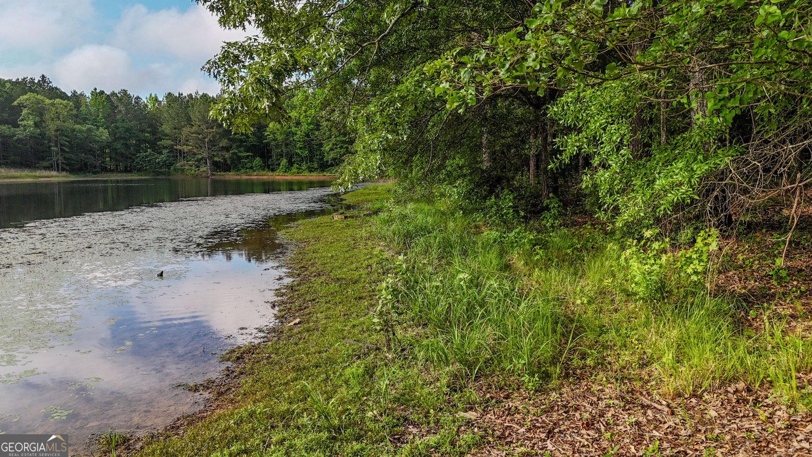 110 Handy Road Newnan - Photo 68