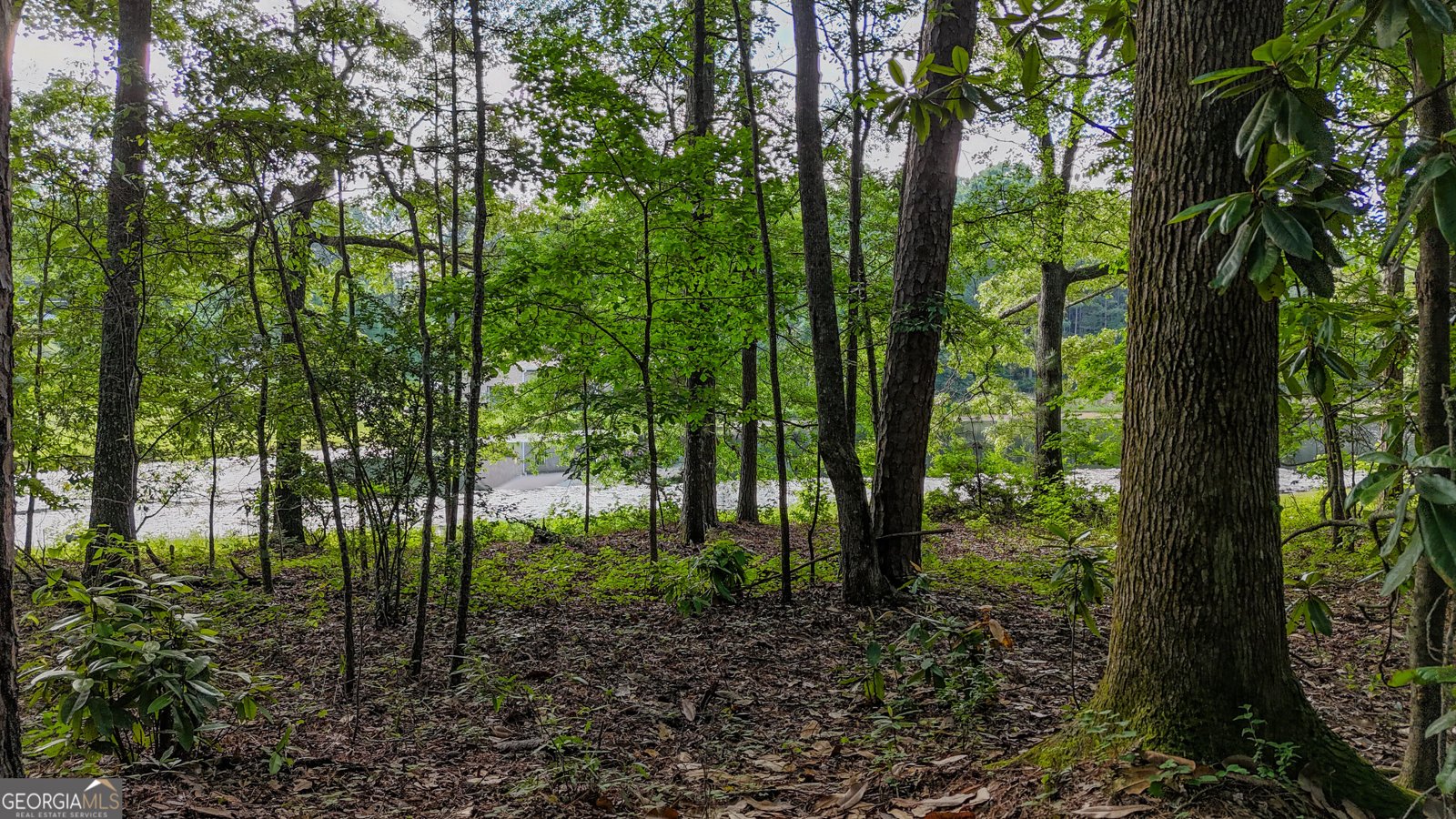 110 Handy Road Newnan - Photo 69