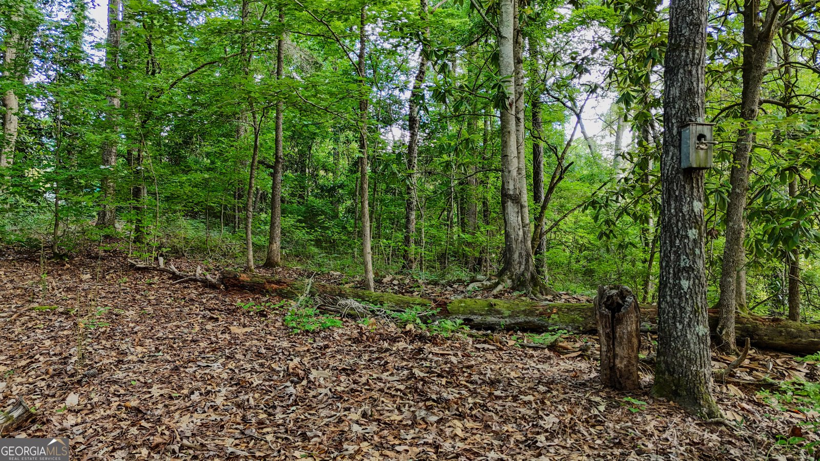 110 Handy Road Newnan - Photo 72