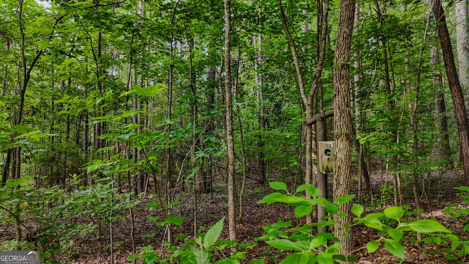 110 Handy Road Newnan - Photo 74