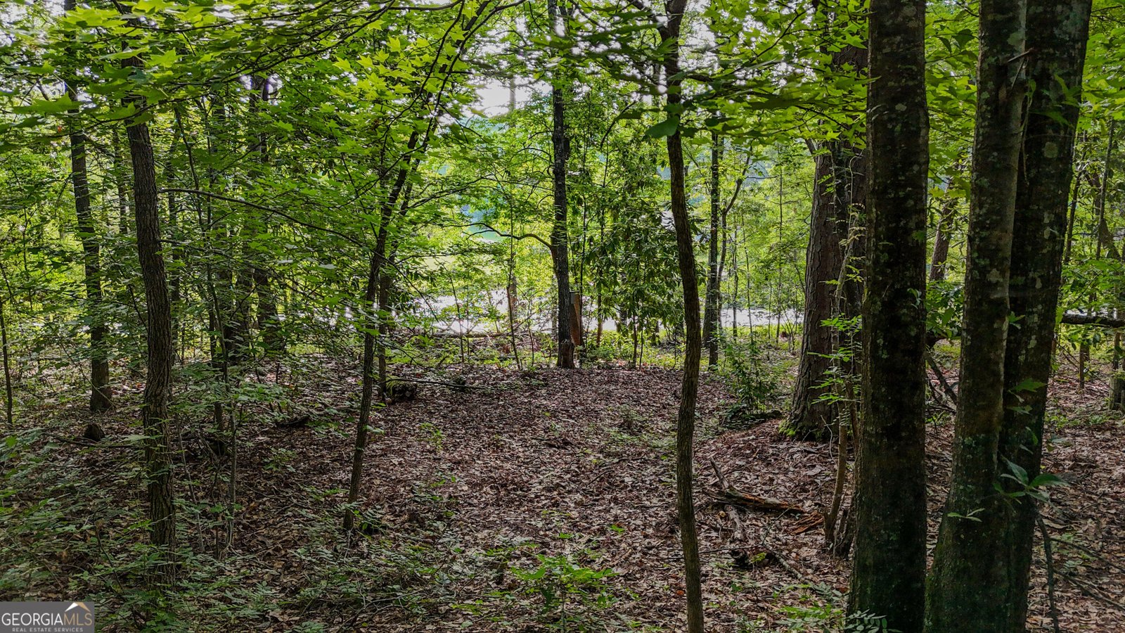 110 Handy Road Newnan - Photo 75