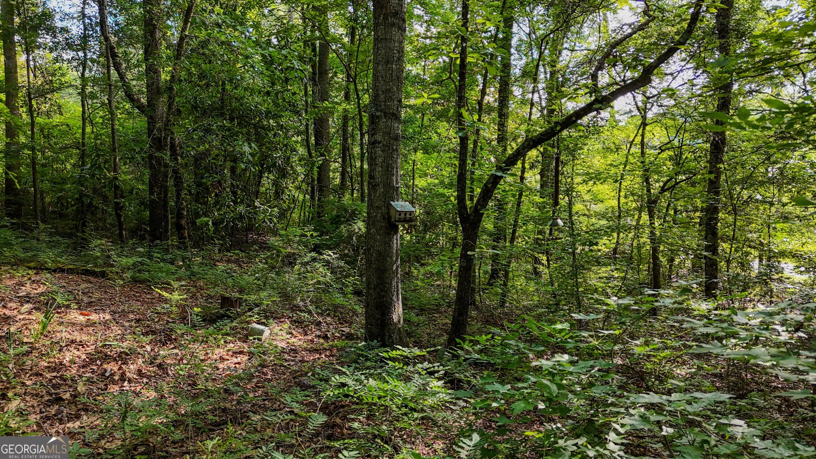 110 Handy Road Newnan - Photo 76