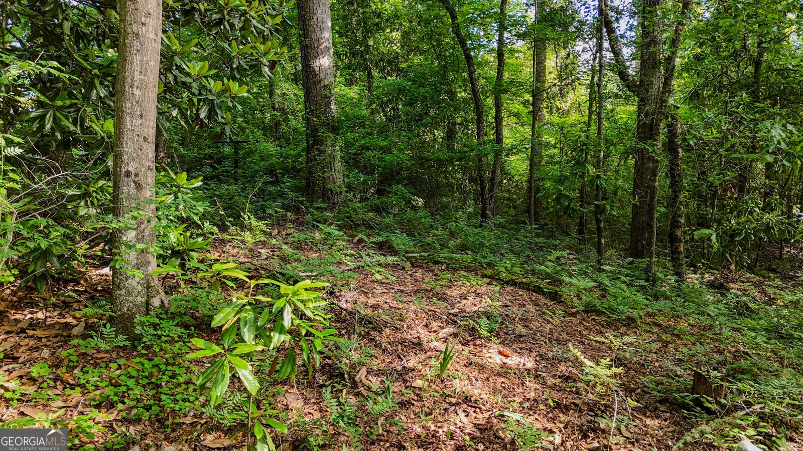 110 Handy Road Newnan - Photo 77
