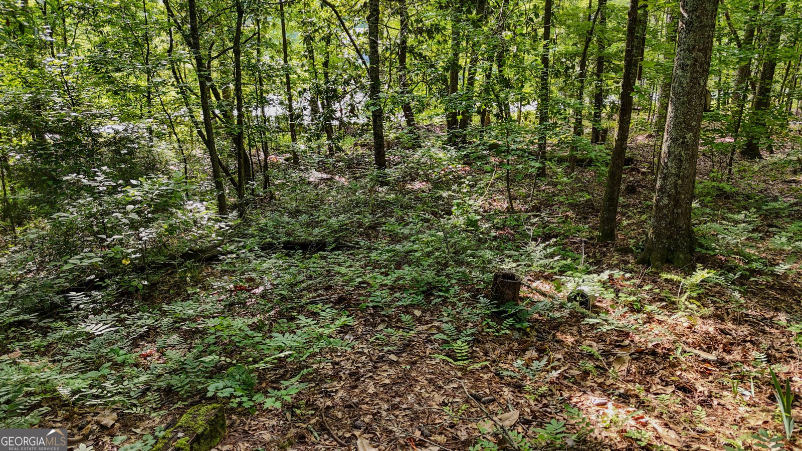 110 Handy Road Newnan - Photo 78