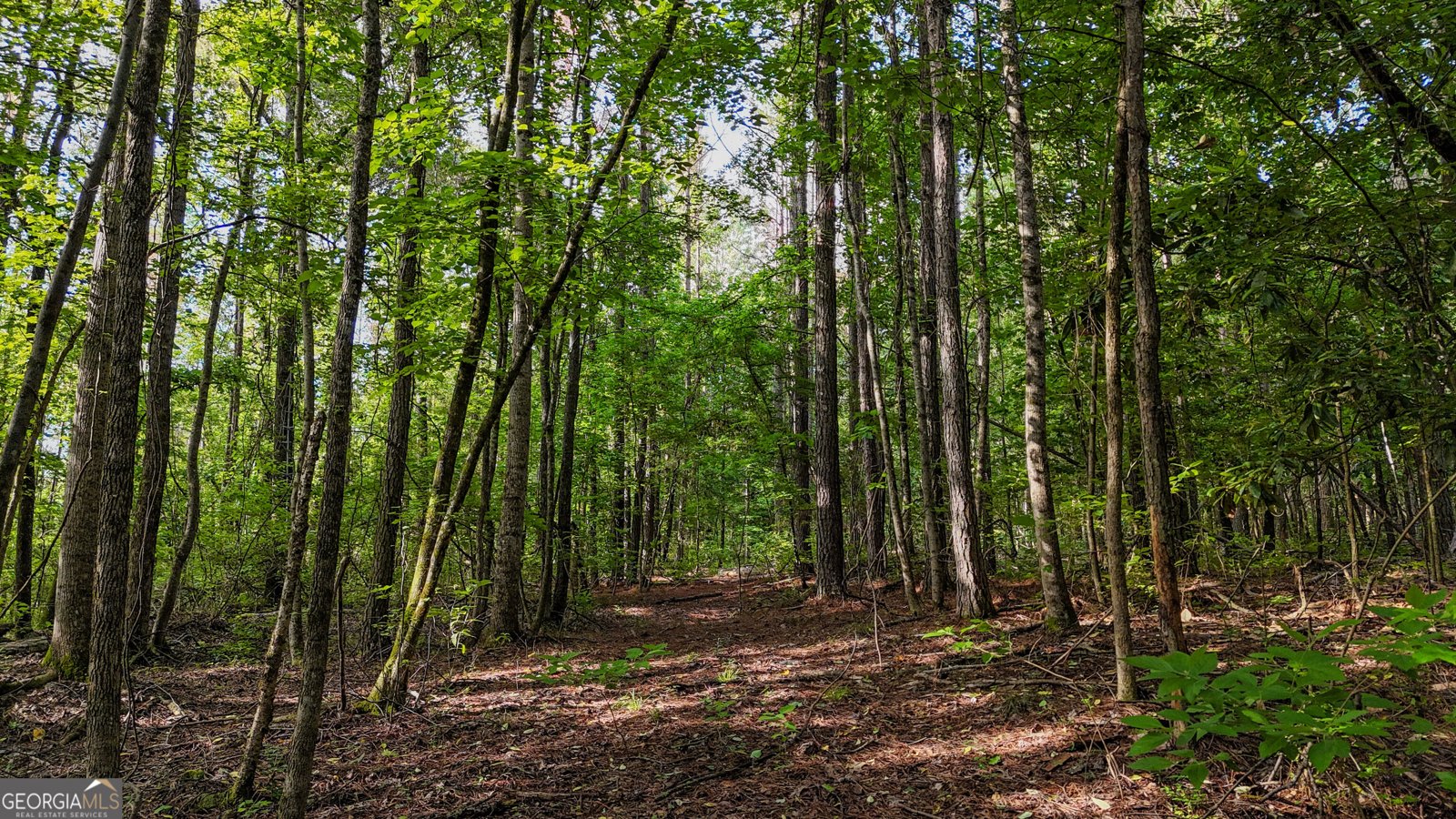 110 Handy Road Newnan - Photo 82