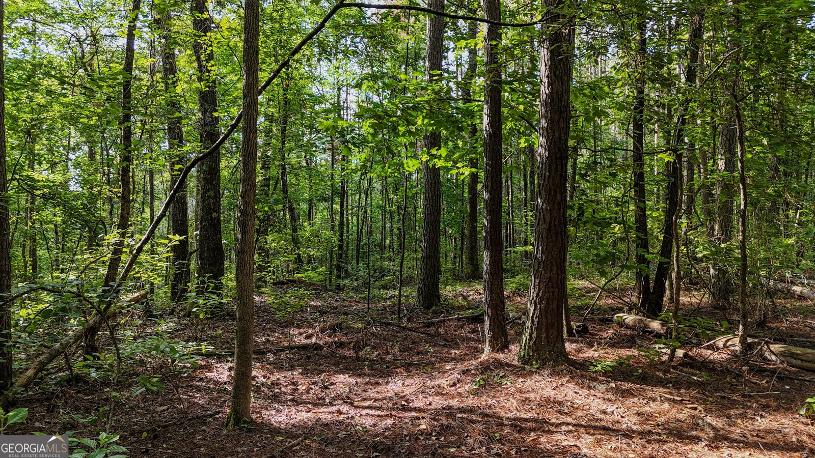 110 Handy Road Newnan - Photo 83