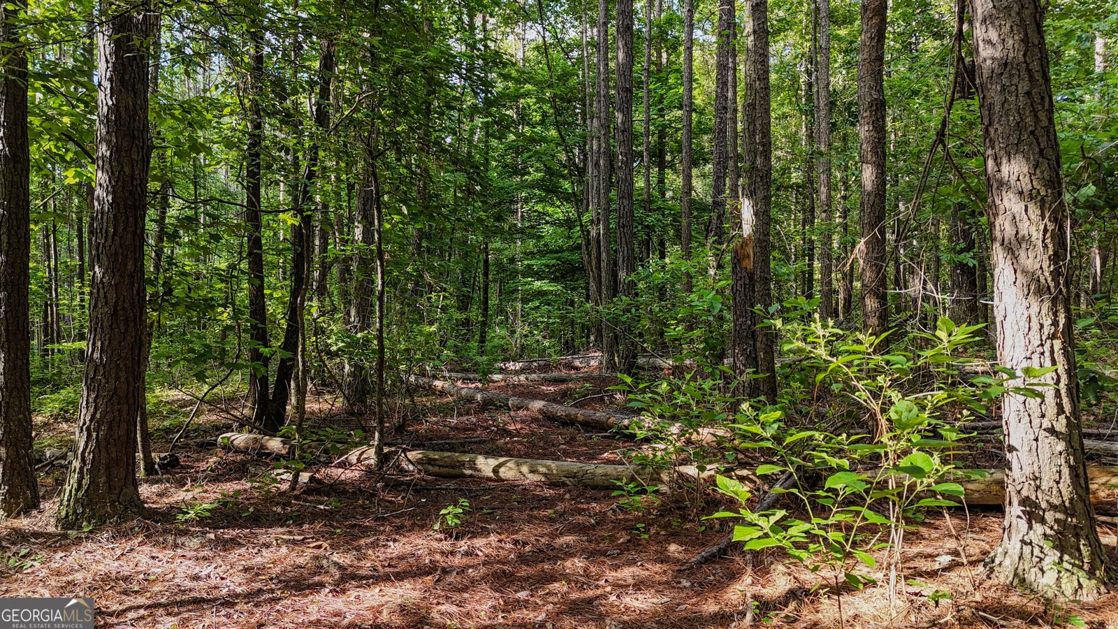 110 Handy Road Newnan - Photo 84