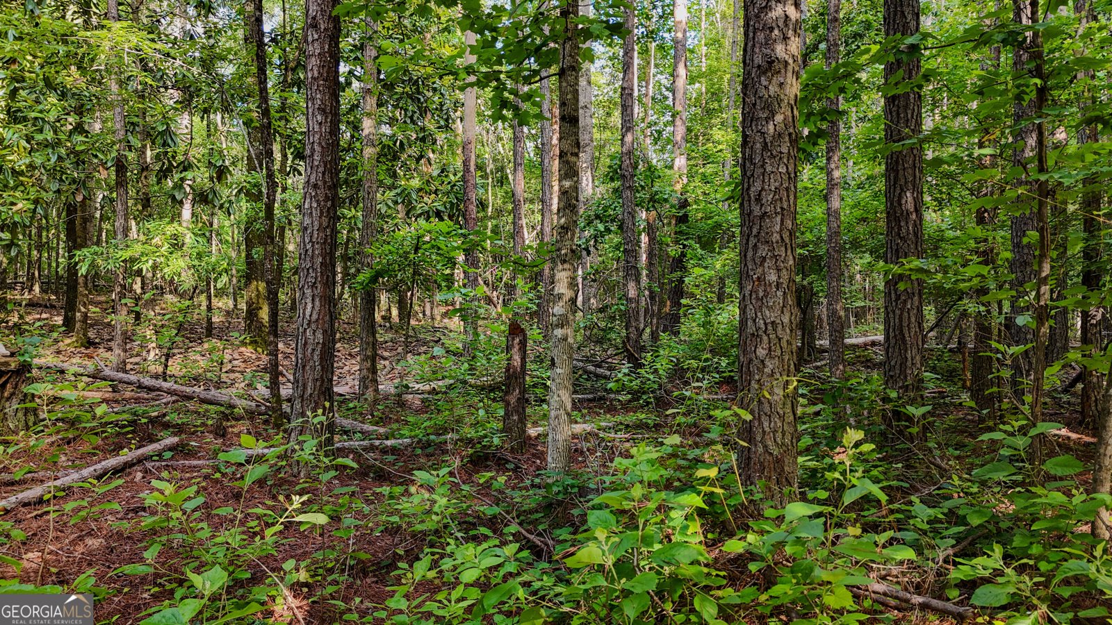 110 Handy Road Newnan - Photo 85