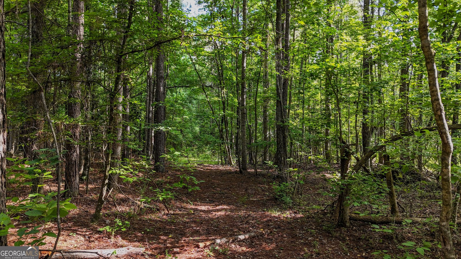 110 Handy Road Newnan - Photo 86