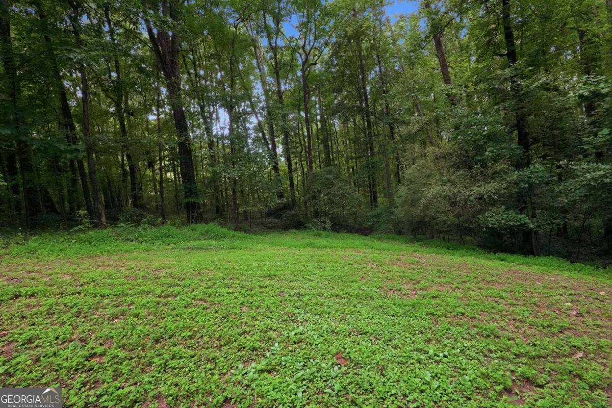3971 Woodbridge Drive Snellville - Photo 34