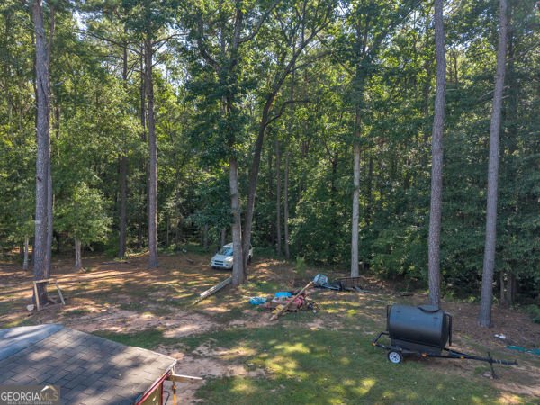1249 Nottley Drive Locust Grove - Photo 52