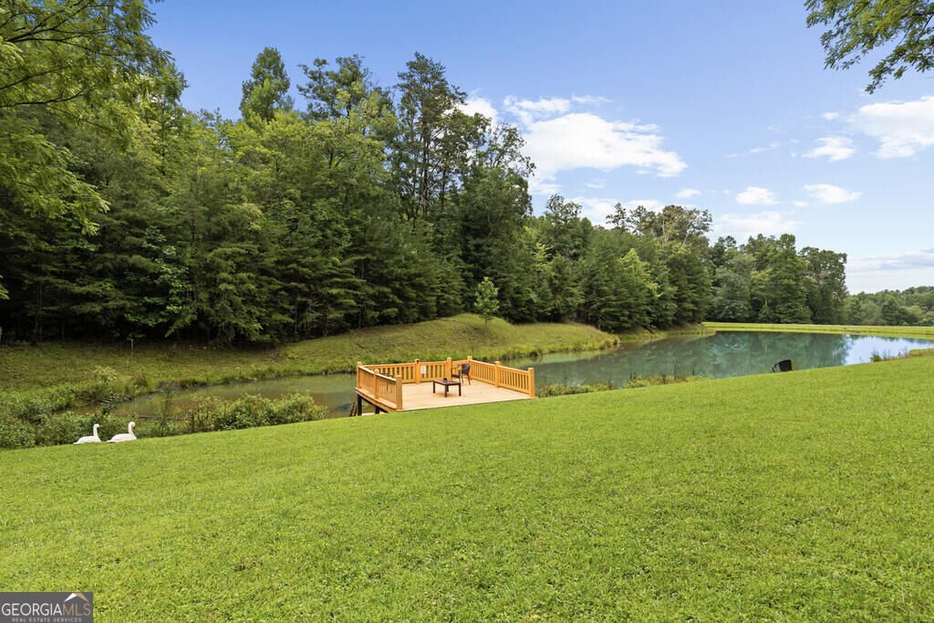 30 Seabolt Morganton - Photo 21