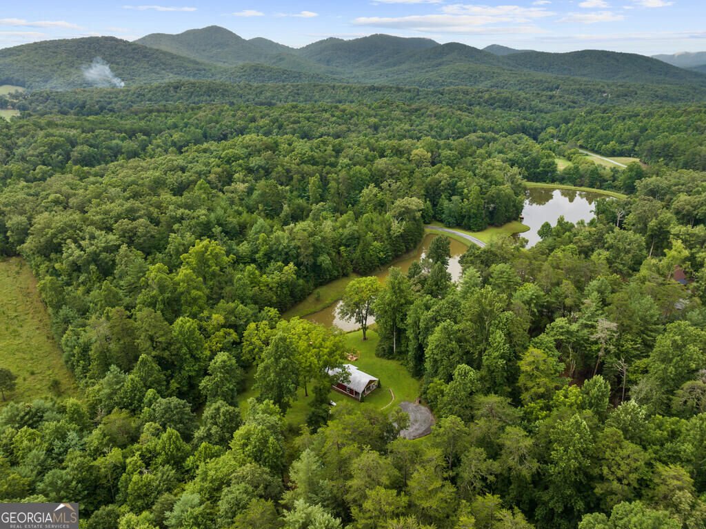 30 Seabolt Morganton - Photo 31