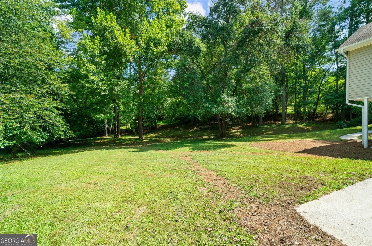 7805 Heardsville Circle Cumming - Photo 56