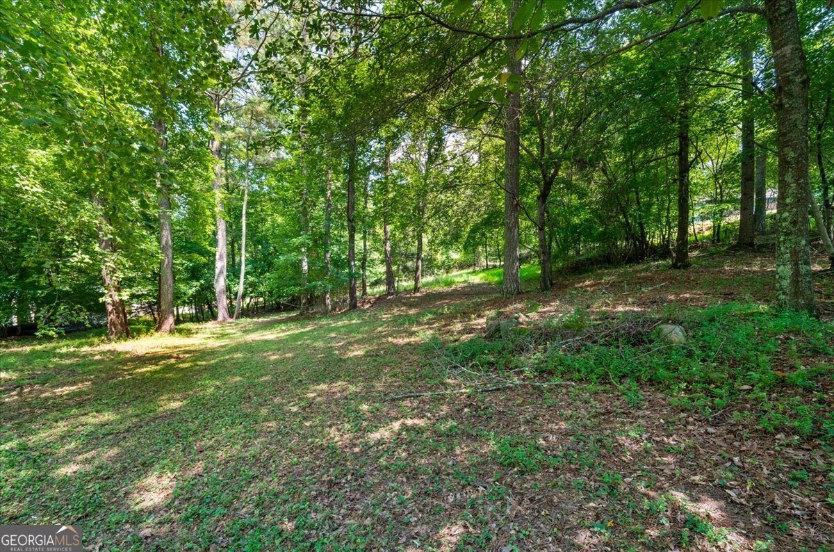 7805 Heardsville Circle Cumming - Photo 57