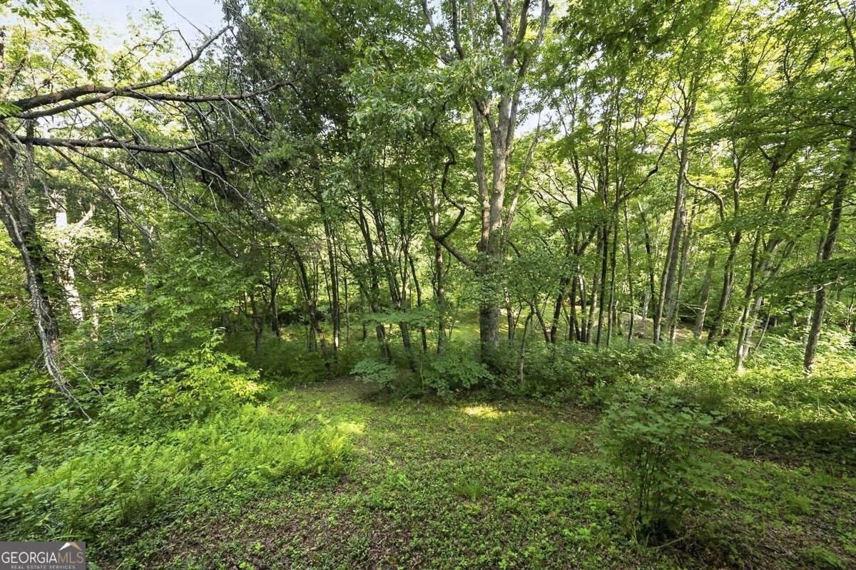 245 Sunrise Valley Road Blue Ridge - Photo 36