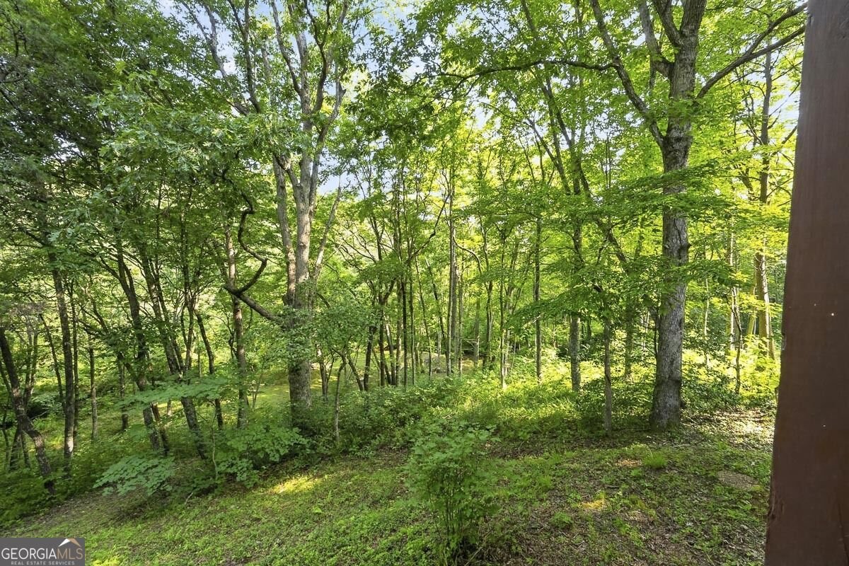 245 Sunrise Valley Road Blue Ridge - Photo 37