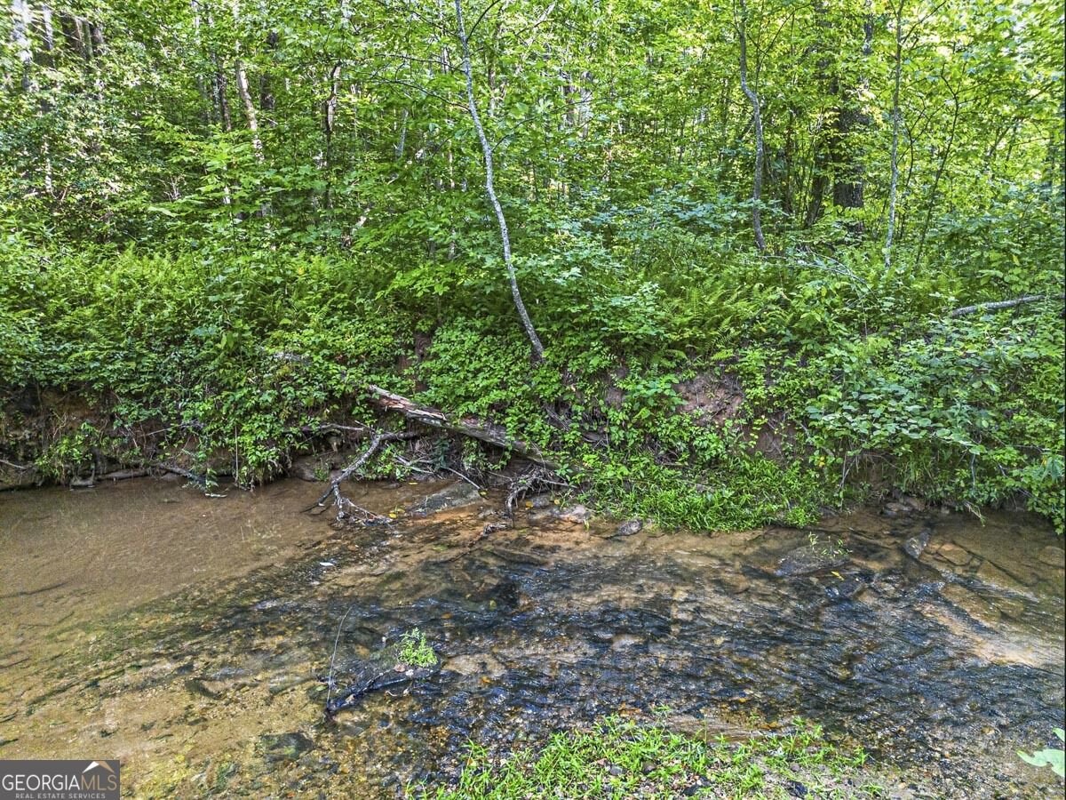 245 Sunrise Valley Road Blue Ridge - Photo 38