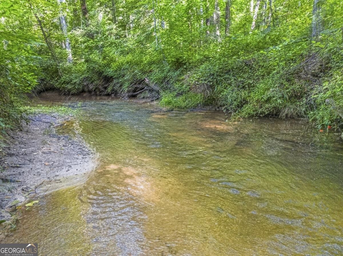 245 Sunrise Valley Road Blue Ridge - Photo 39